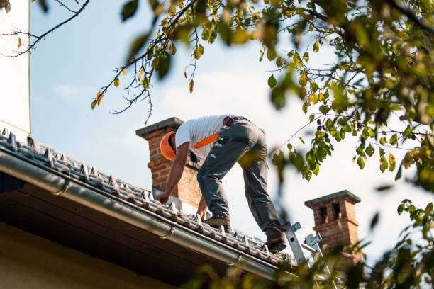 Best Commercial Roof Installation  in Audubon, PA