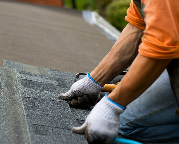Best Storm Damage Roof Repair  in Audubon, PA
